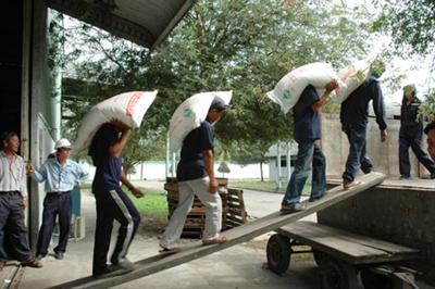 Bốc Xếp Hàng Hoá Tại Đồng Nai